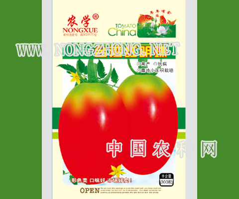 台湾红明珠西红柿种子